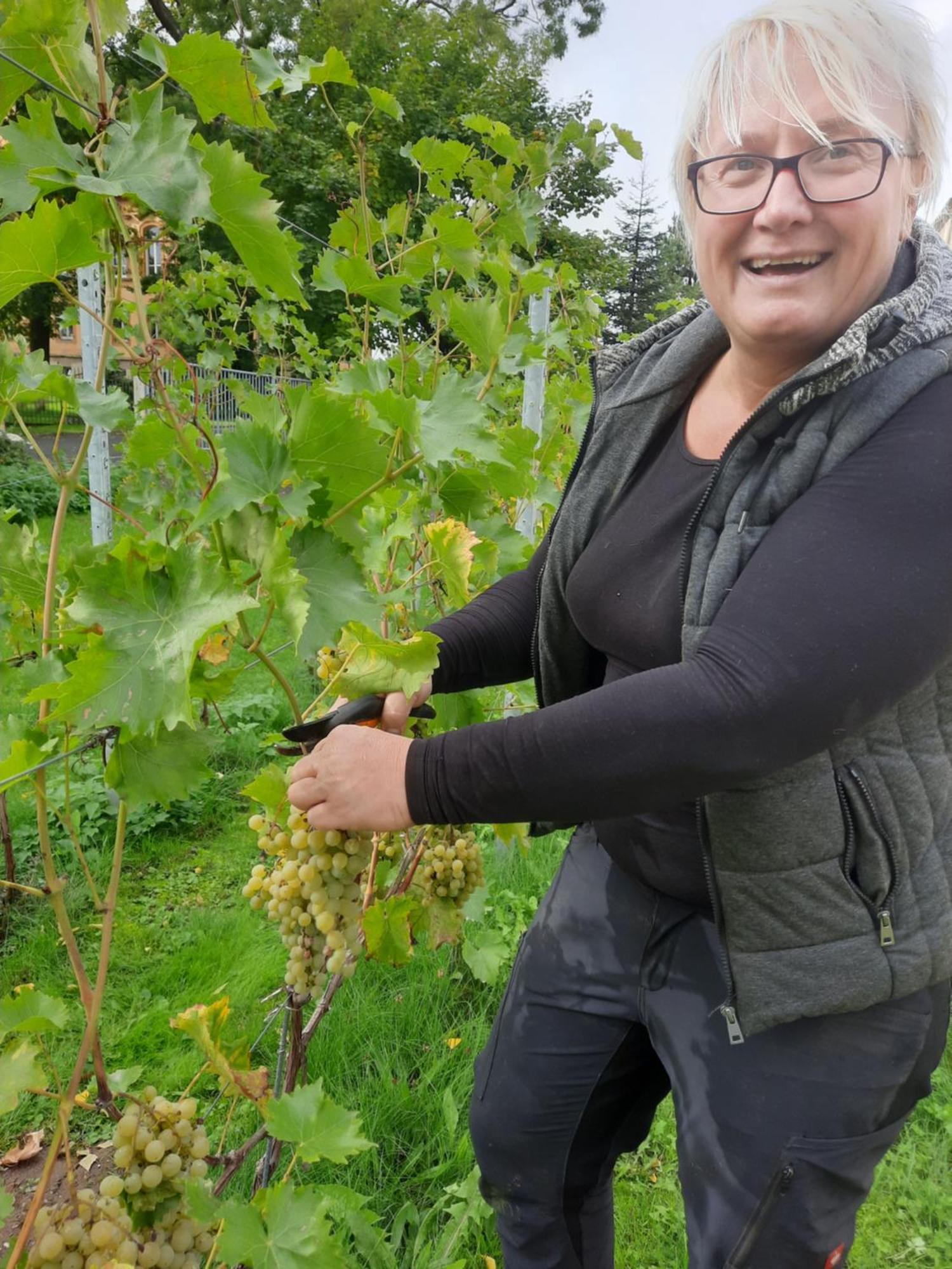 Ferienwohnung Weingut Lahmer August Kretzschau Εξωτερικό φωτογραφία