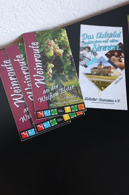 Ferienwohnung Weingut Lahmer August Kretzschau Εξωτερικό φωτογραφία